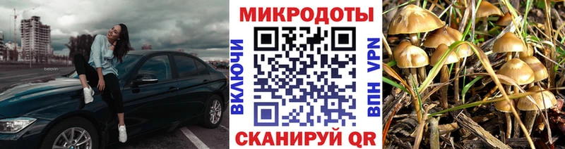 Псилоцибиновые грибы мухоморы купить наркотик Шуя